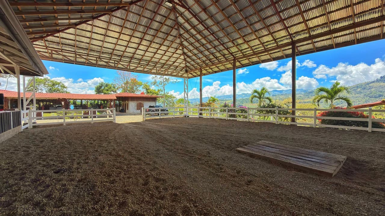 Agricultural Land For Sale in Daniel Flores - photo 16