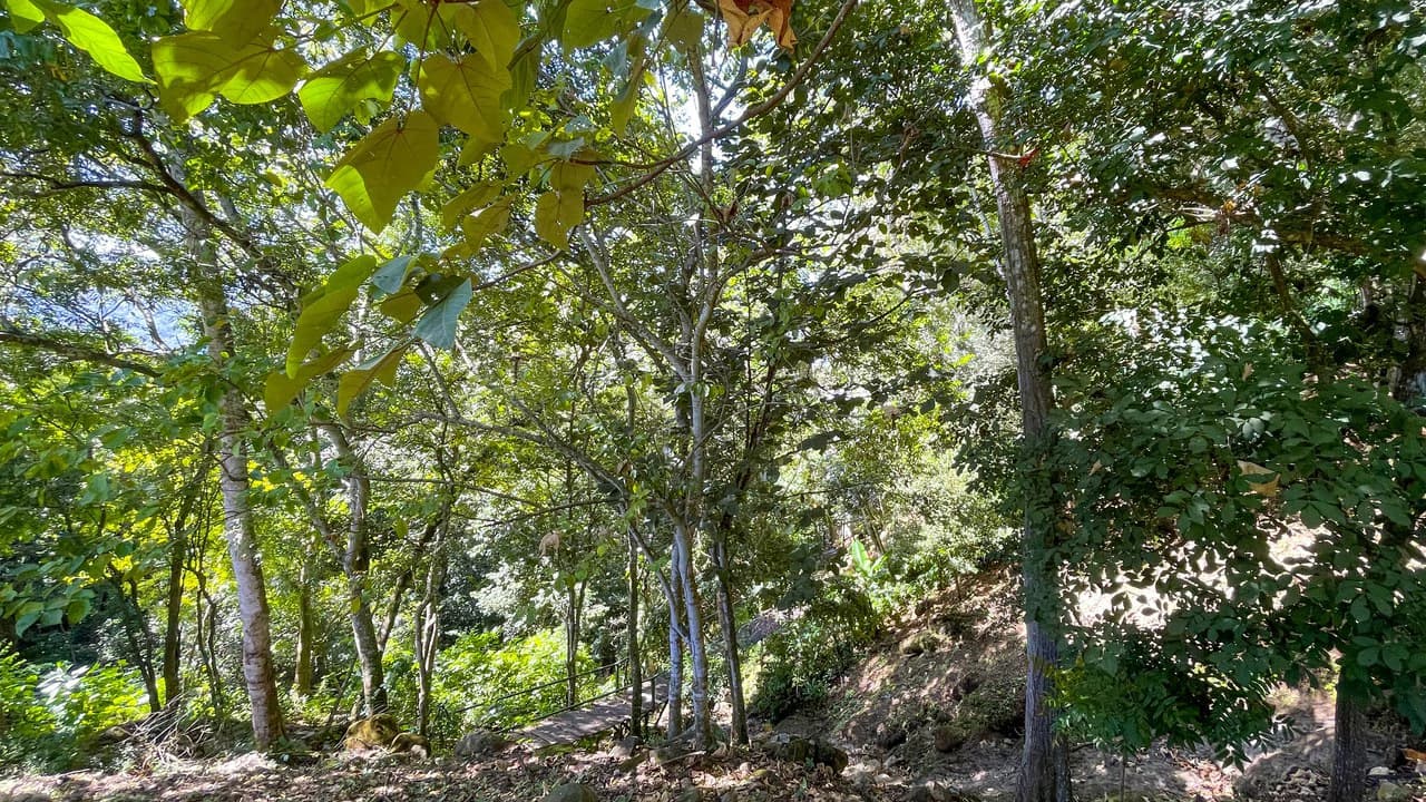 Lot for Sale in Escobal, Atenas- gravel road - photo 5