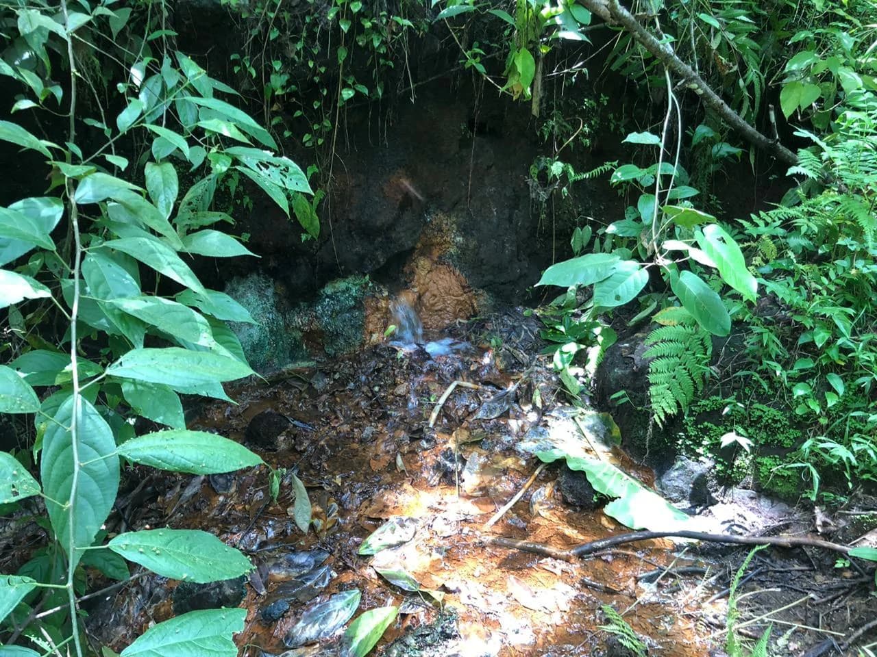 Hot Springs Property in Dos Ríos de Upala – Excellent Investment Opportunity - photo 3
