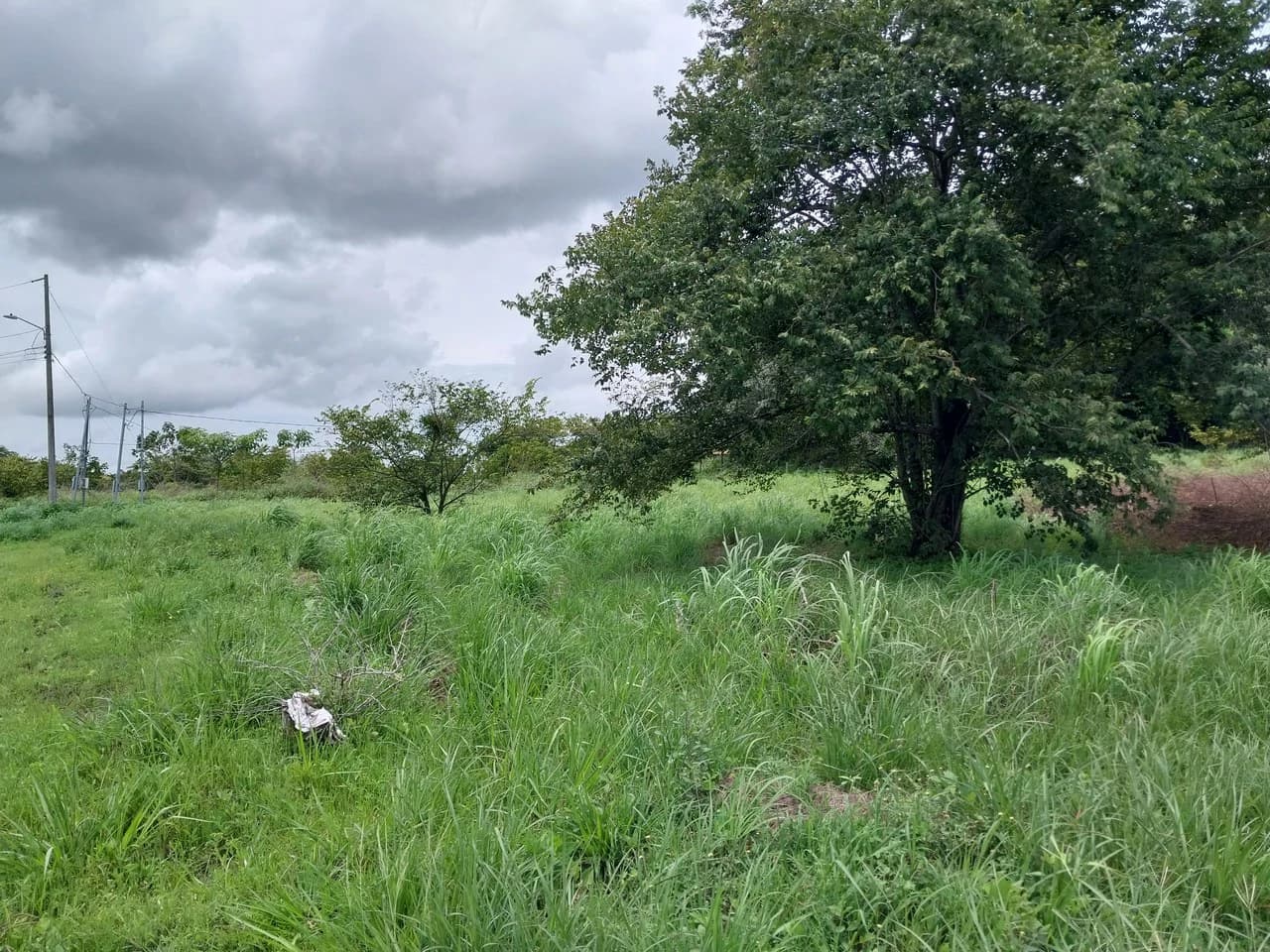 T-182: Volcano view and lot for Sale in Liberia - photo 4