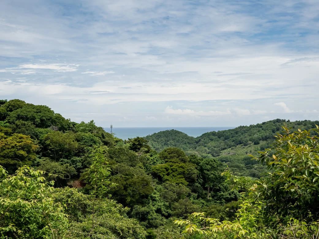 Lote Vista Lapa - 2.1 Acre Ocean View Lot: Countryside Home Construction Site For Sale in Playa Samara - photo 7