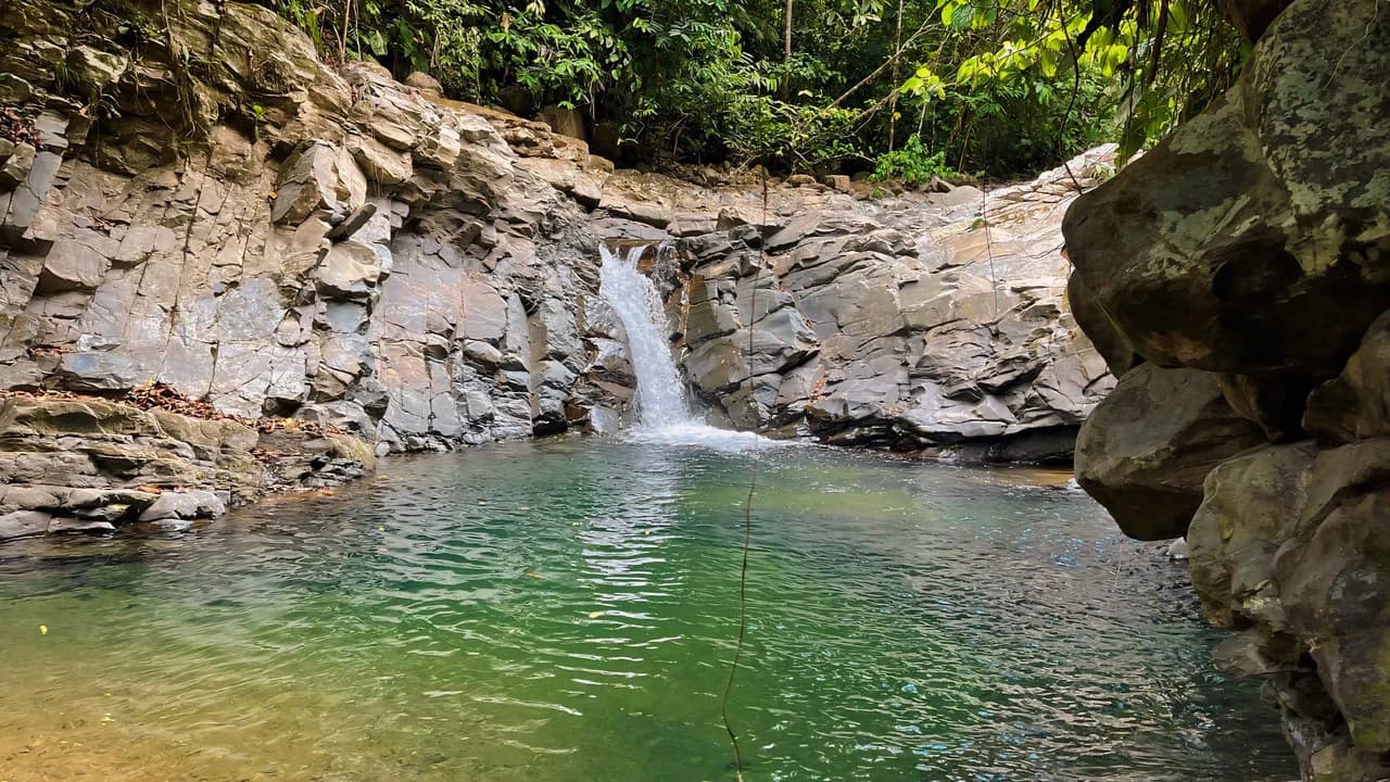 FINCA CERRO DEL TIGRE! OVER 20 ACRES OF PRIMARY FOREST AND WATERFALLS.: Mountain Agricultural Land For Sale in La Unión - photo 29