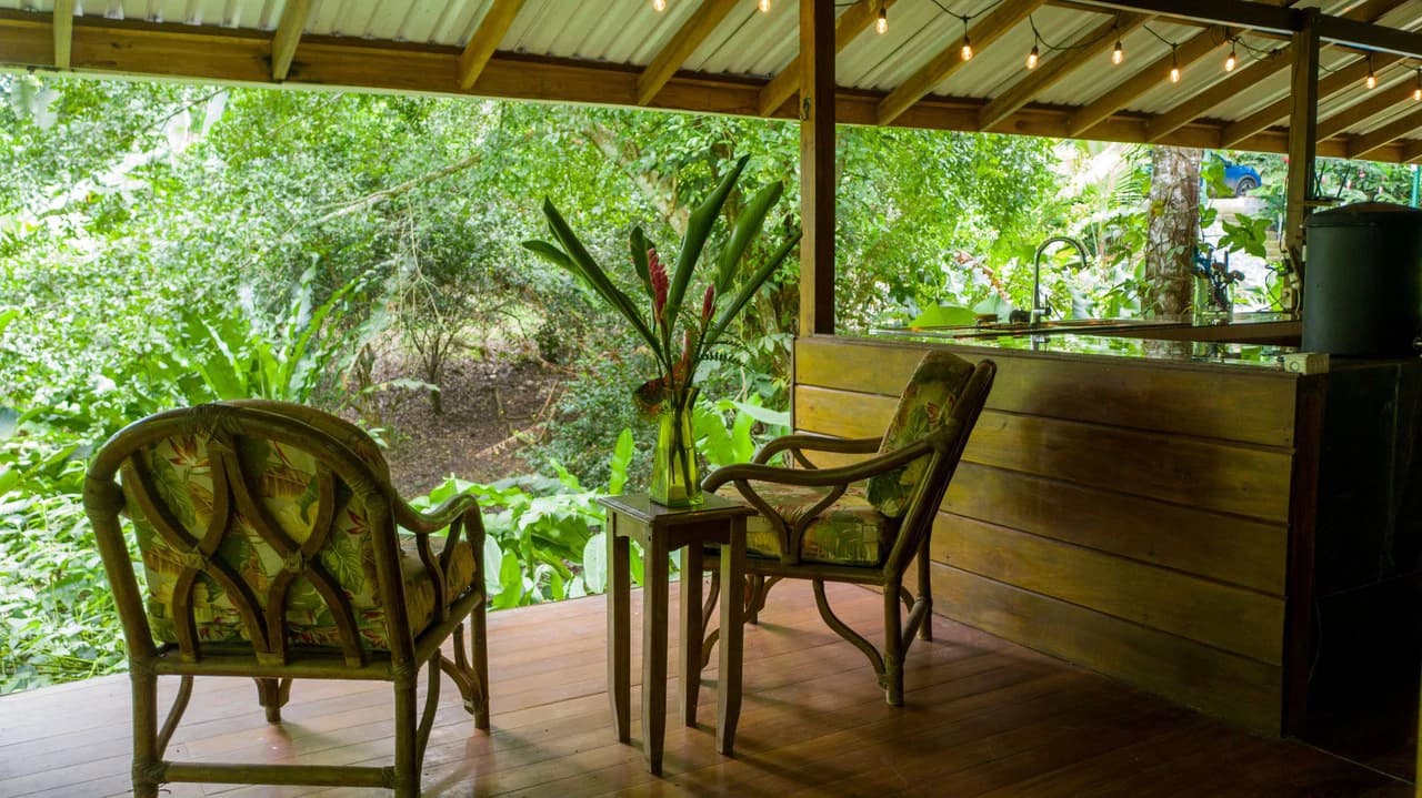 4 Bd/3 Ba - Two Caribbean Homes w/ Pool, on 5000m²: Dual Home Jungle Property in Punta Uva - photo 10