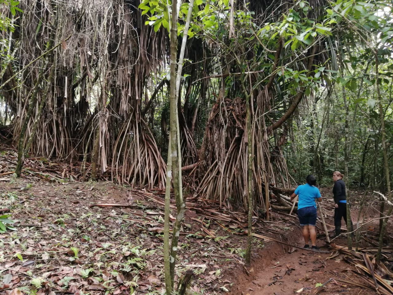 Costa Rica Ecolodge Retreat: TURNKEY COSTA RICA ECOLODGE & WELLNESS RETREAT | 28 ACRES + 5 GUEST CABINS | 45 MINUTES FROM LA FORTUNA - photo 24