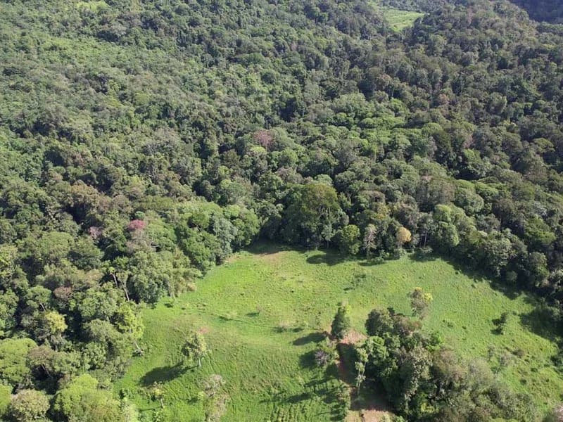 69.16 Acres Property | Mountain & Top Ocean View with Small Home - photo 6