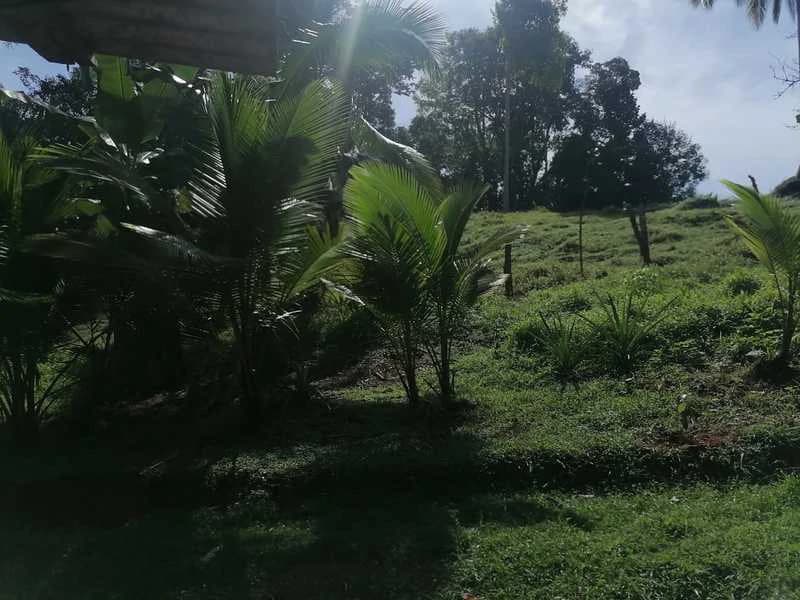 69.16 Acres Property | Mountain & Top Ocean View with Small Home - photo 31