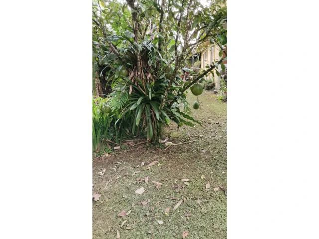 Countryside, Lakefront and Mountain House For Sale in Arenal - photo 16