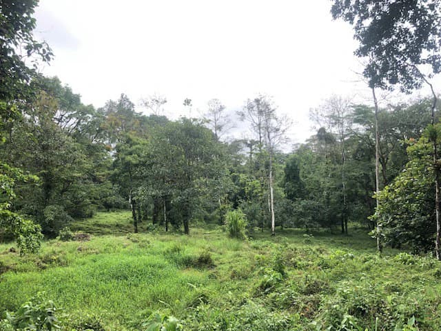 Hot and Cold Thermal Springs for Sale – Beautiful Property in Dos Ríos, Alajuela with Excellent Commercial Potential - photo 27