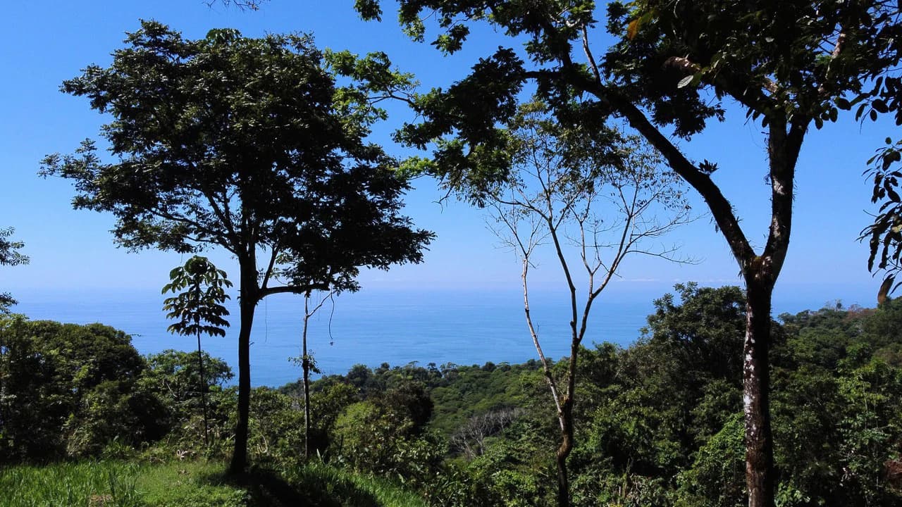 Exclusive 5.80 acres Ocean View Estate Lot in Costa Verde Estates – Escaleras - photo 4