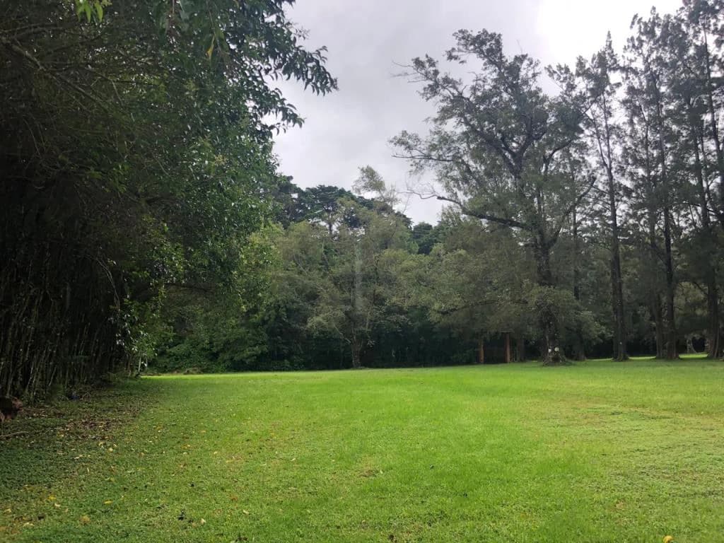 Horse ranch mountain farmland with its own stable's in San Rafael, Heredia - photo 10