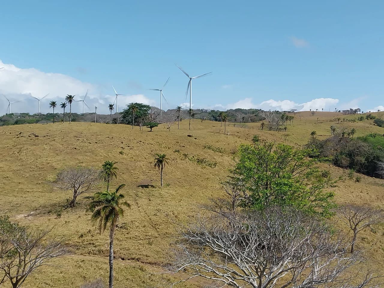 Finca de 613 acres/248 ha. con Linda Casa y Bonitas Vistas: Countryside Agricultural Land For Sale in Bagaces - photo 10