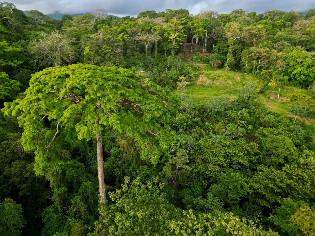 Build Your Vision in Uvita – 15.9 Ocean View Acres with Easy Access + Utilities Ready! - photo 11