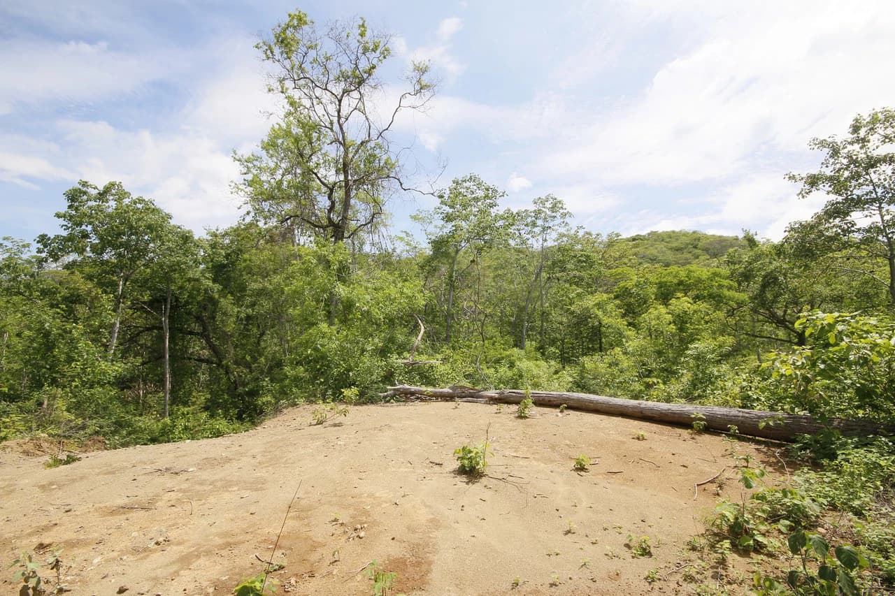 GRAN OPORTUNIDAD: GREAT OPPORTUNITY. Property of 48.3 hectares adjacent to the Hotel Riu