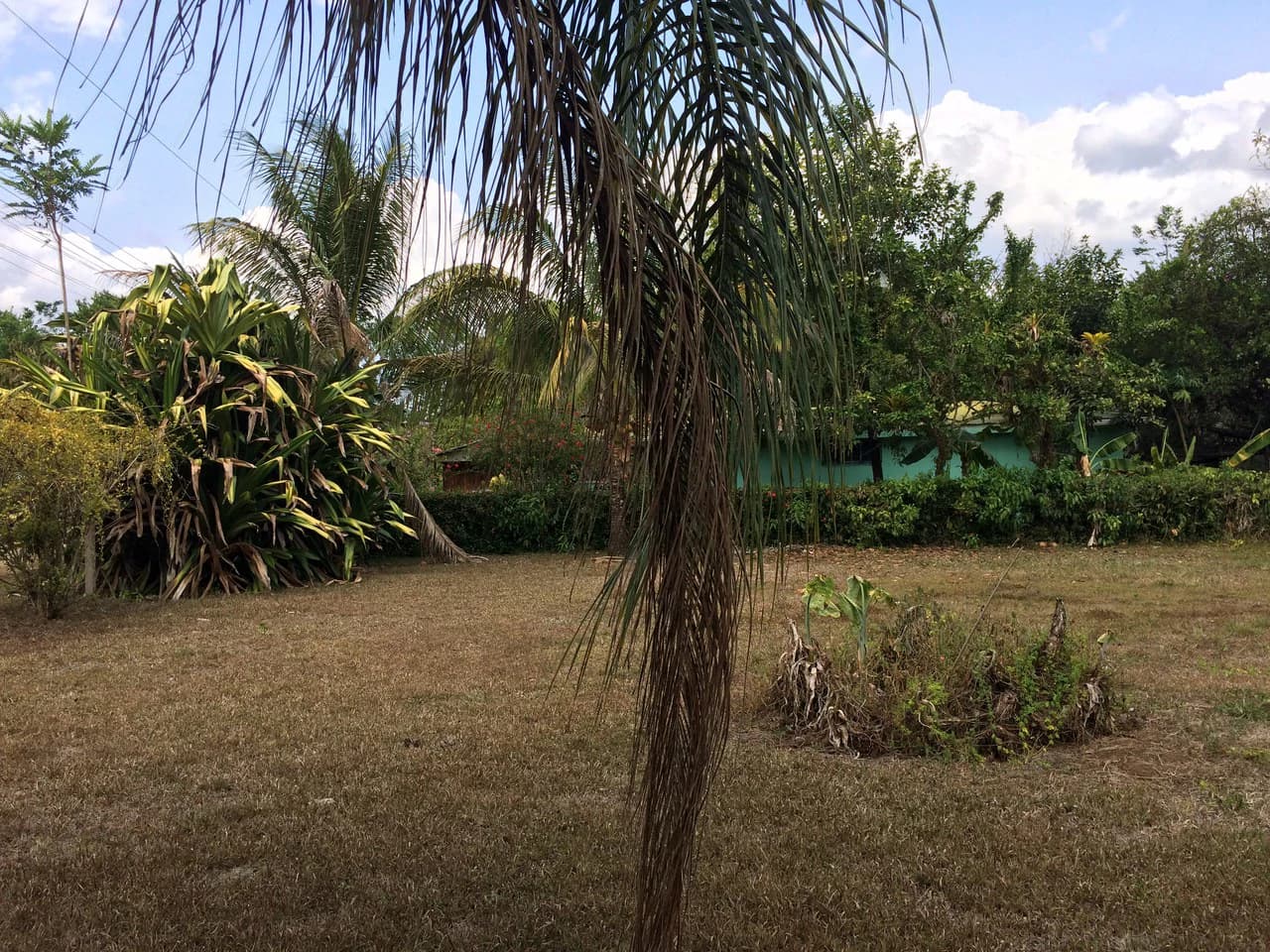 Propiedad grande: Countryside Home Construction Site For Sale in Caño Negro - photo 2