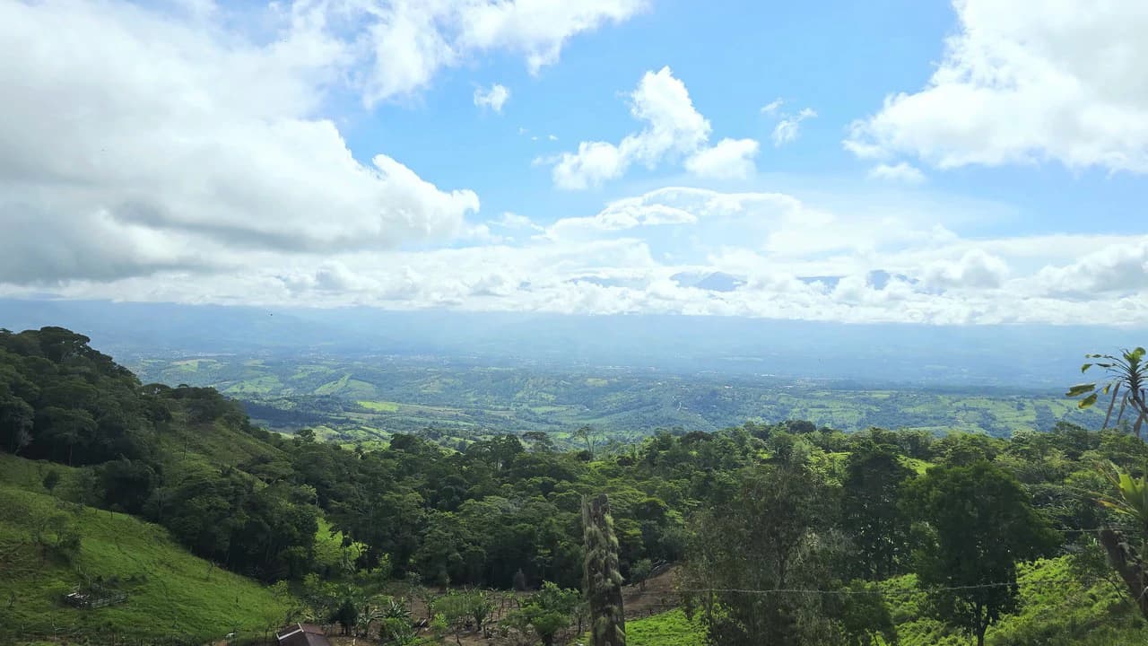 Mountain Agricultural Land For Sale in San Isidro del General - photo 4