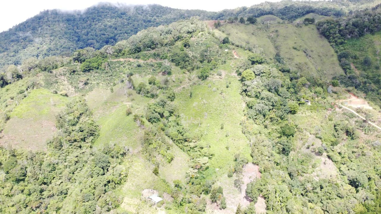 LOTE EN HERRADURA RIVAS.: Mountain Agricultural Land For Sale in San Isidro del General - photo 12