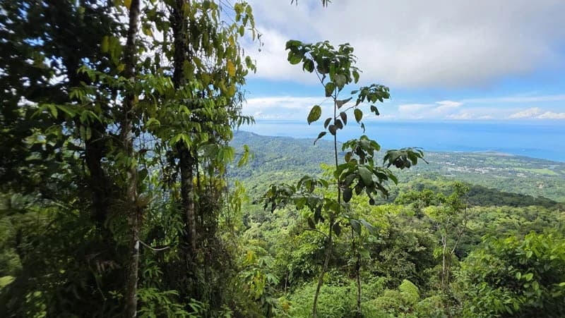 116-Hectare Finca for Sale Near Uvita with Whales Tail Views and 10 Waterfalls | La Faralla, Bahia Ballena, Uvita, Puntarenas, Costa Rica - photo 17