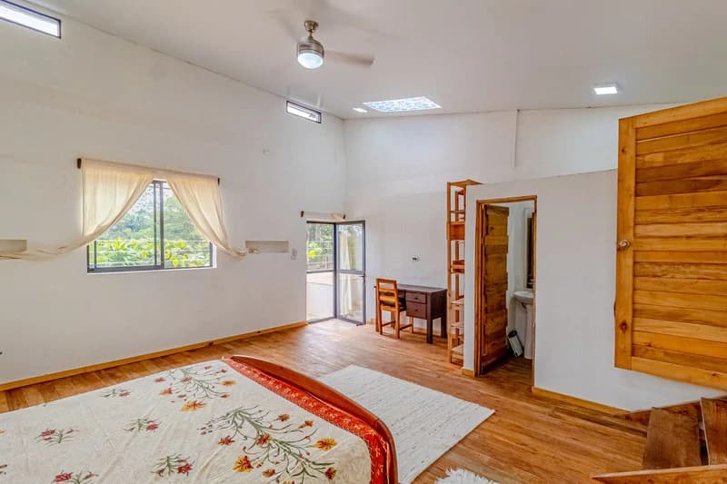 Casa San Pedrito: Beautiful house for sale in San Pedrito,(1,3hect) Perez Zeledon - photo 37