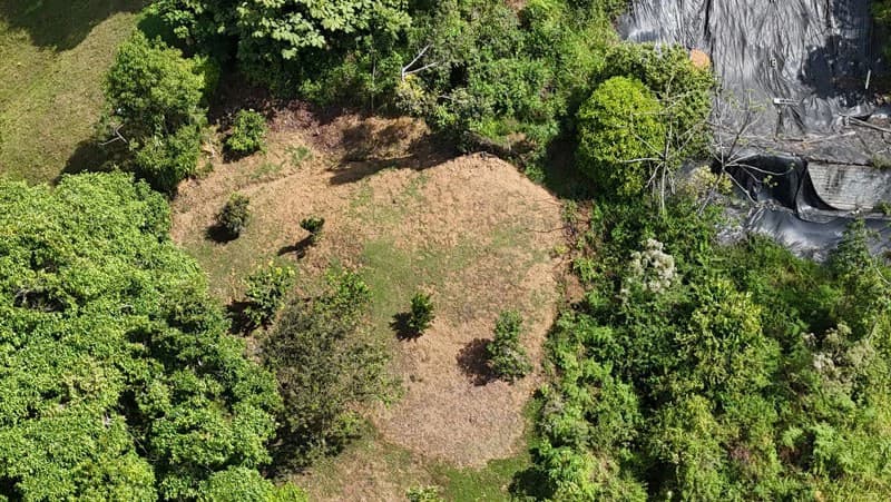 Oceanview Paradise Near San Luis Waterfall Ready to Build Morete, Uvita, Puntarenas, Costa Rica - photo 6