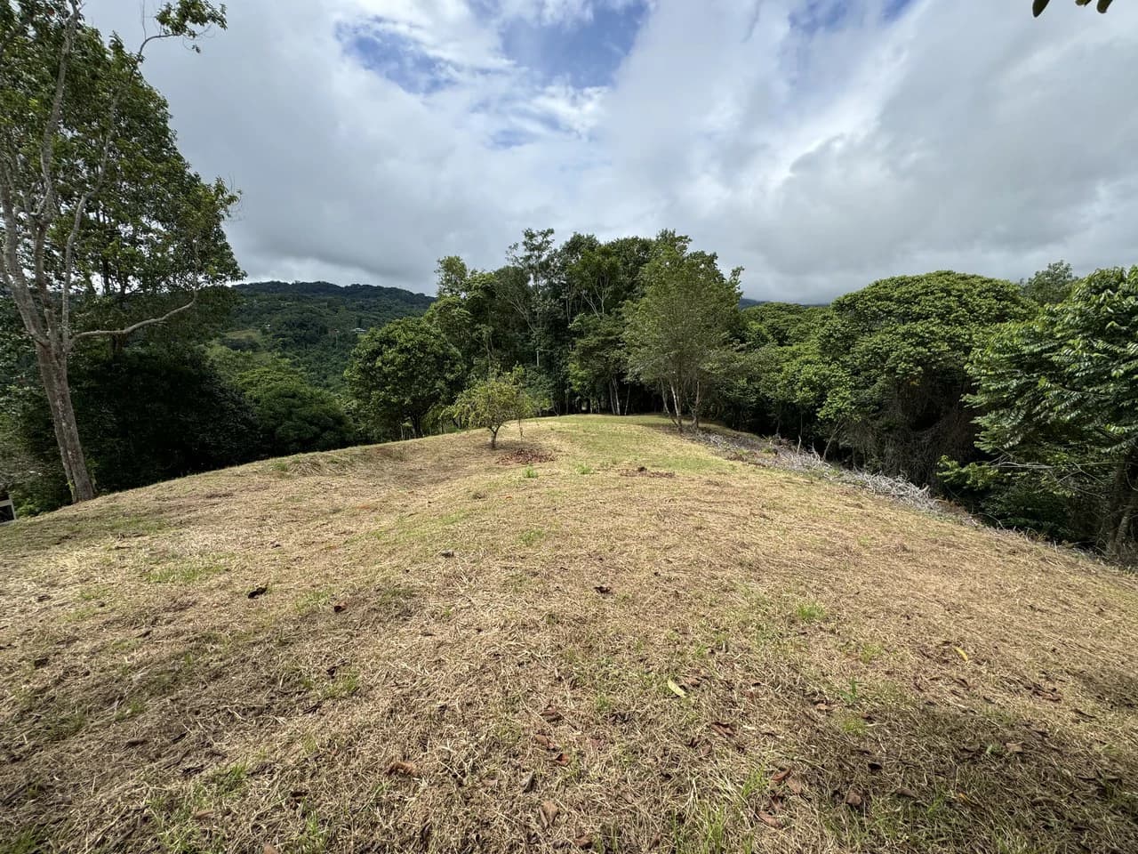 Diamante Waterfall View Land in Dominical 2.9 Acres - photo 18