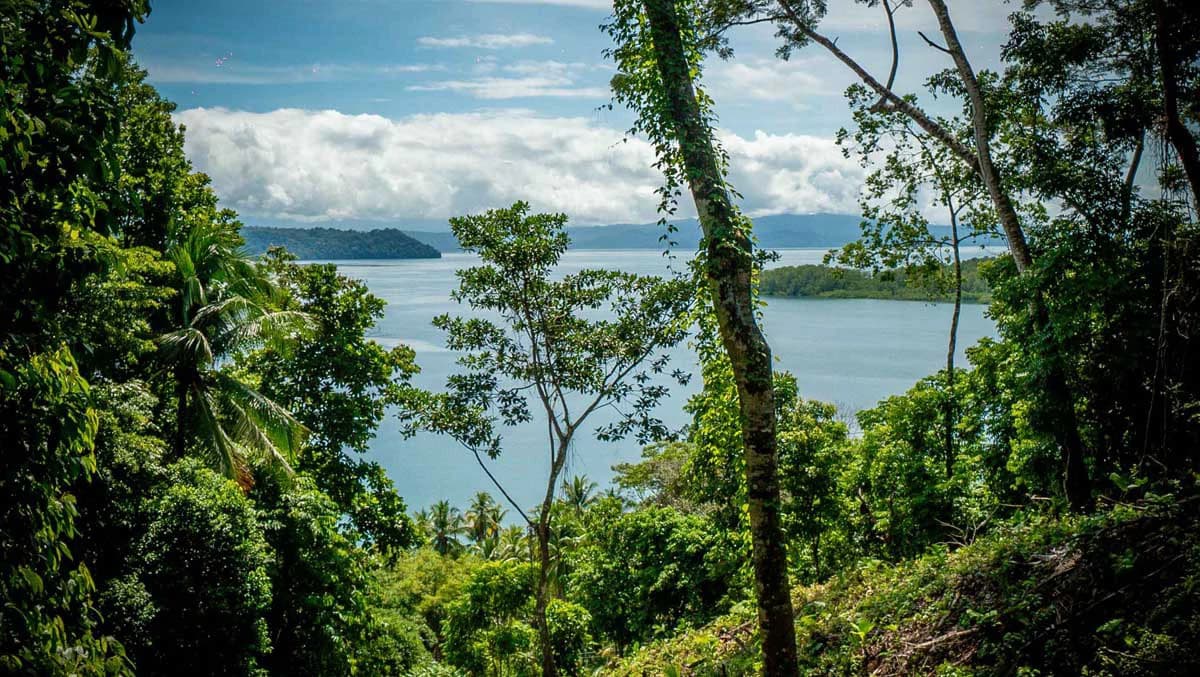 Rincon Mountain Land Gulf View | A Breathtaking Landscapes of Rincon - photo 26