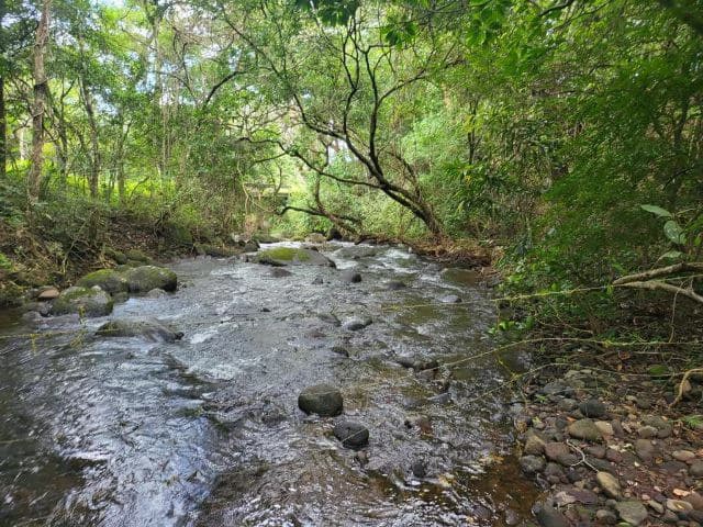 Charming property for sale in Nueva Guatemala with stunning views of the Tenorio Volcano and the beautiful green valleys - photo 2