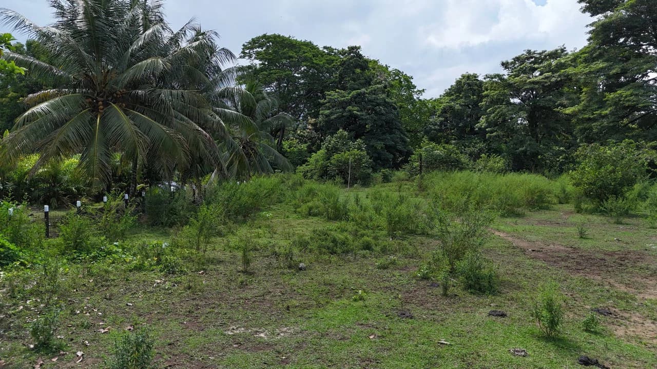 Walk to the beach, Developement Land, Mini Ranch, Central Uvita - photo 4