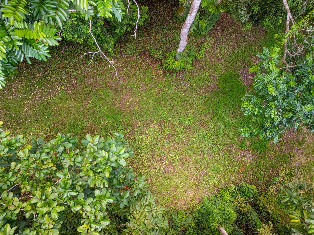 Tropical Paradise in Cascada Sándalo, Tres Ríos Ocean & Mountain Views | Gated Community | Abundant Nature - photo 13