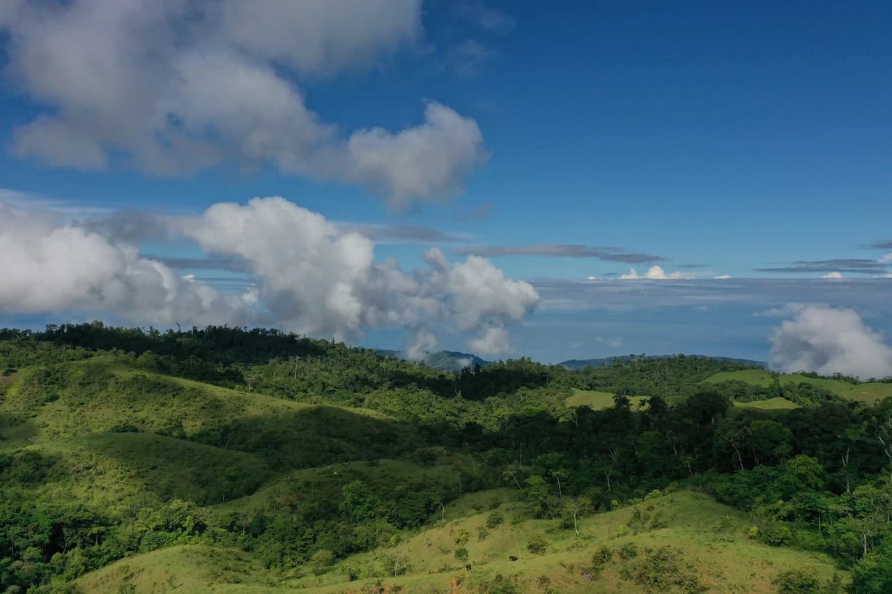 47 Acre Off Grid Ranch with Ocean & Mountain Views San Lorenzo Perez Zeledón - photo 7