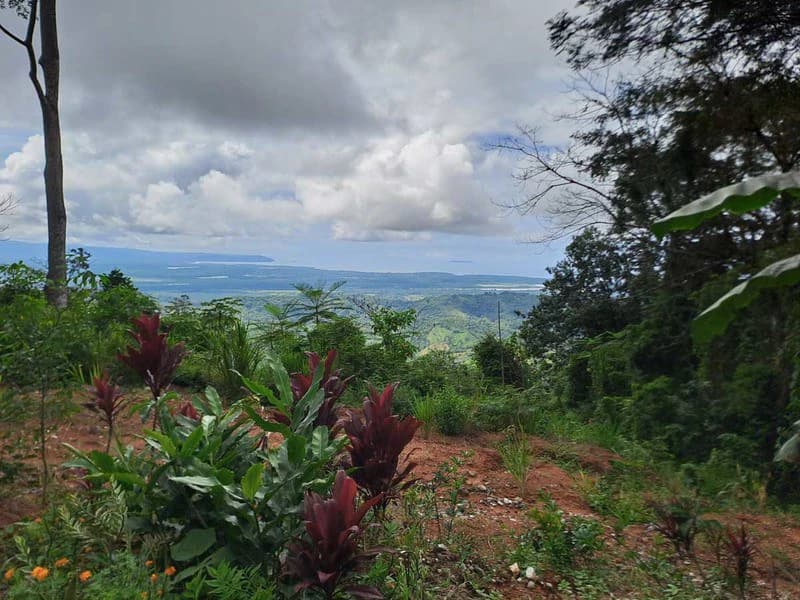Where Ocean Vistas, Jungle Symphony, and Mountain Breezes Unite! - photo 2