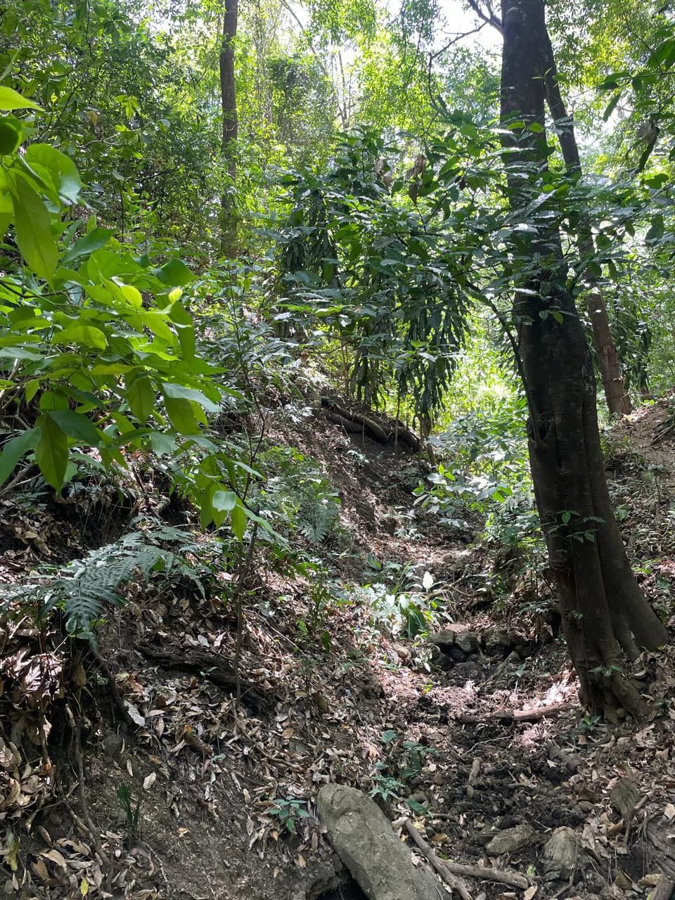 Ocean view property for sale Rodeo Ciudad Colon San Jose Costa Rica - photo 14