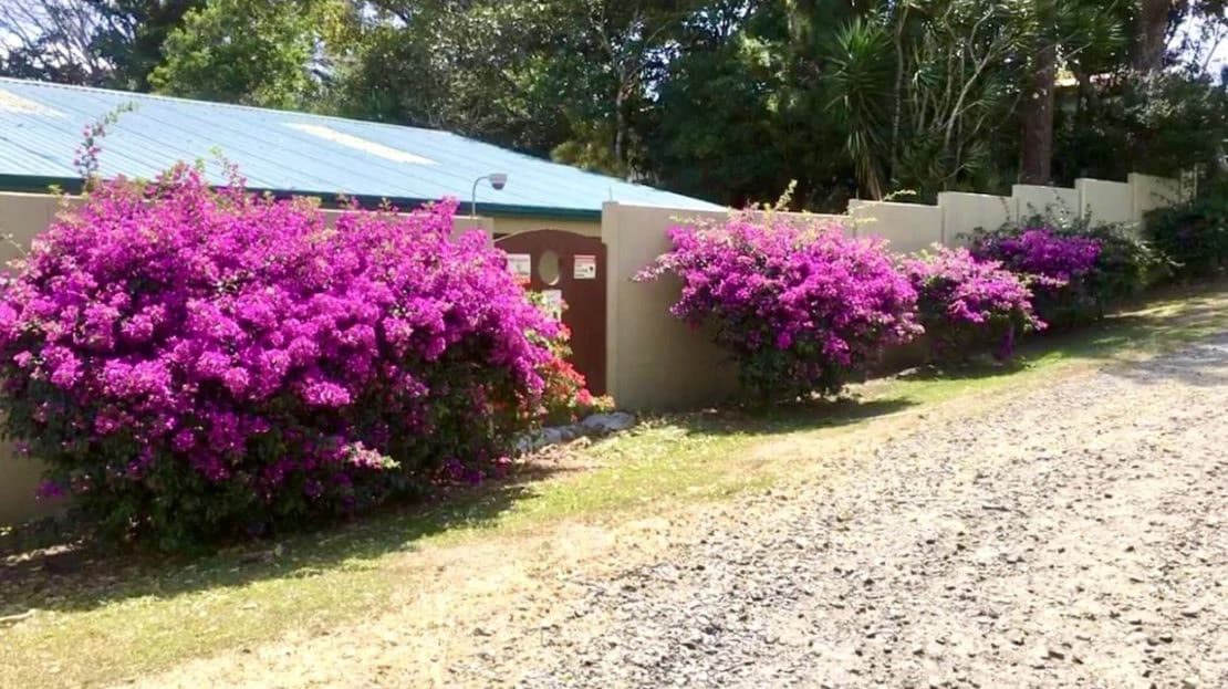 BAMBOO GARDEN - Large Country Home - Ready for Your Personal Touch! - photo 4