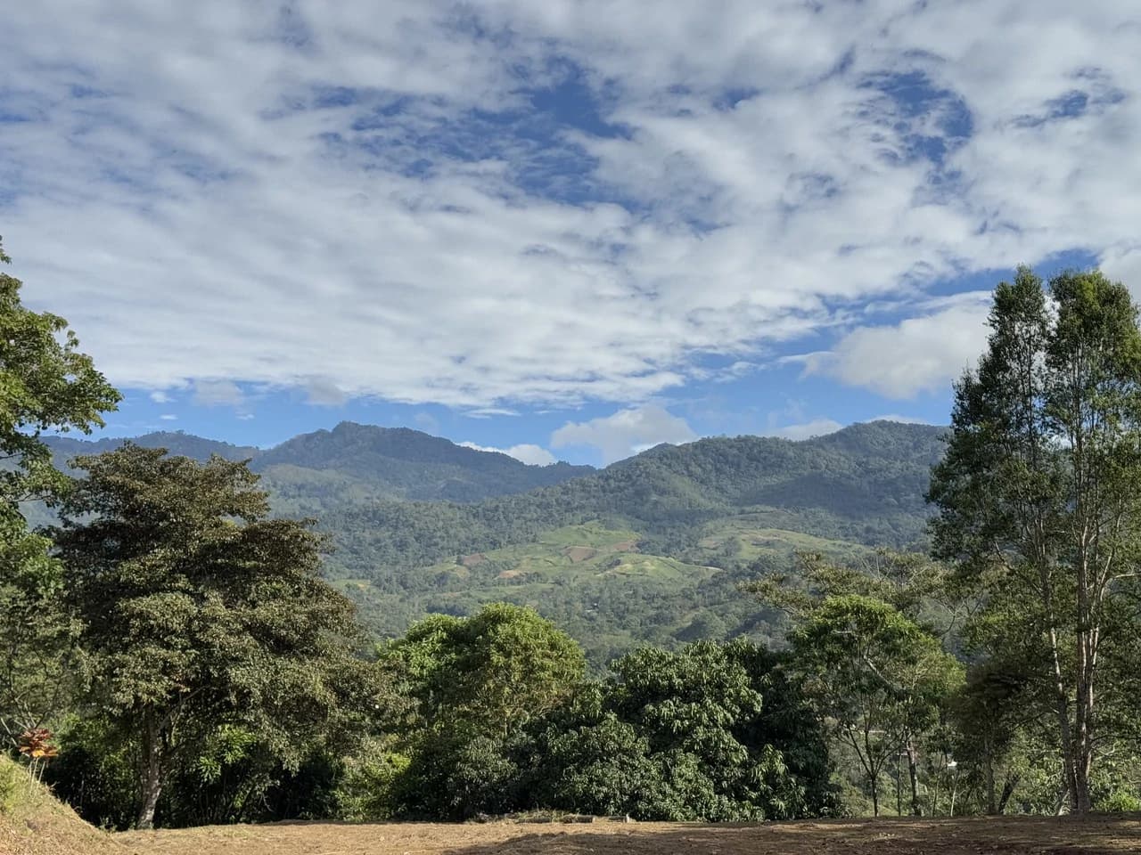 Stunning 2.4 Acre Property in Quebradas San Isidro del General - photo 3