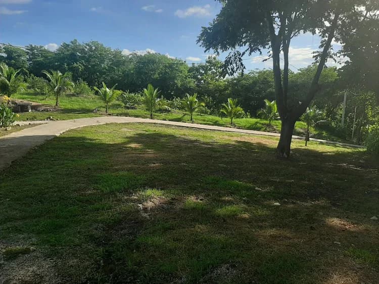 Organic Finca Eco Dreams: $799,000 USDOrganic Finca Eco Dreams – Sustainable Eco Farm for Sale Near Playa Naranjo, Costa Rica Luxury Self-Sustainable Farm, Solar-Powered Estate & Investment Property o - photo 33