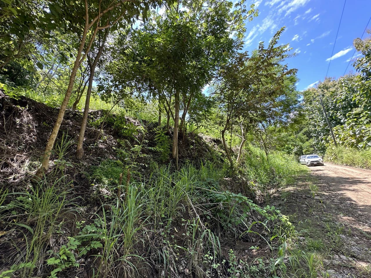 Lote by Naranjo Beach - Blue zone: Ocean View Lot By The Beach: Nicoya Peninsula - photo 10