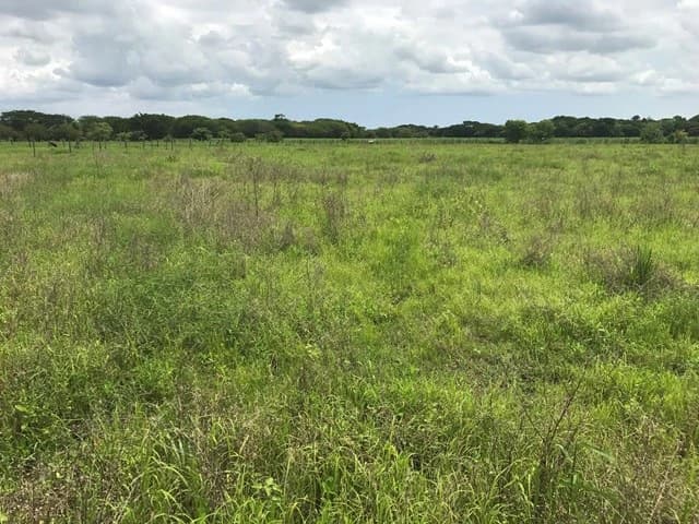 Commercial Development Land for Sale in Guanacaste, Costa Rica - photo 3