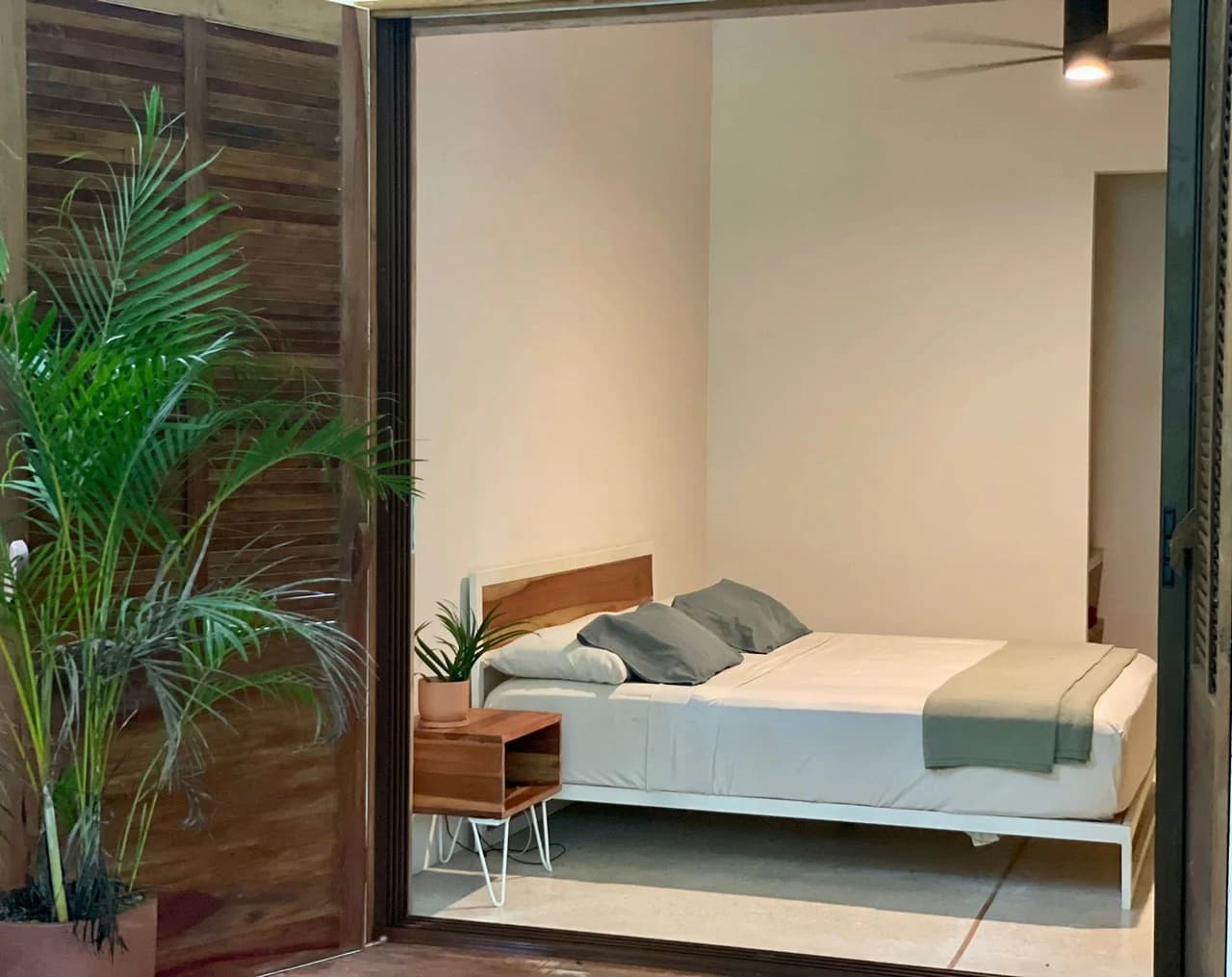 Casa Gala: New Modern and Tropical House Steps Away from Downtown and the Beach! - photo 11