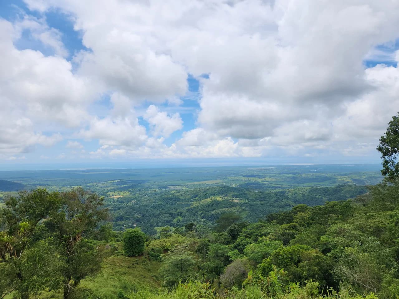 PRIME PARRITA FARM FOR SALE - photo 52