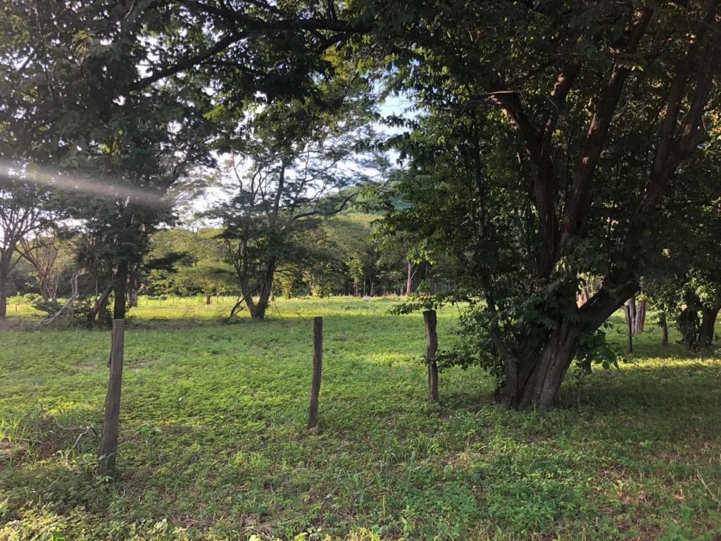 Large Commercial Property in Playa Hermosa, Guanacaste, Costa Rica - photo 10