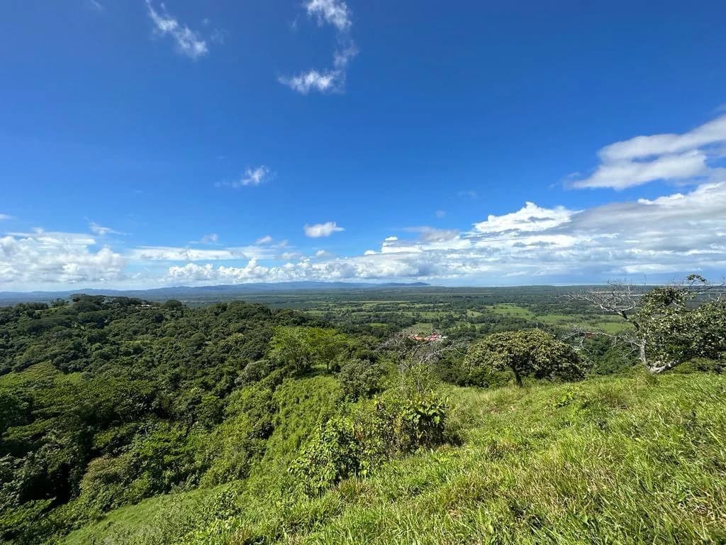Exceptional Development Opportunity in Puerto Cortes, Osa