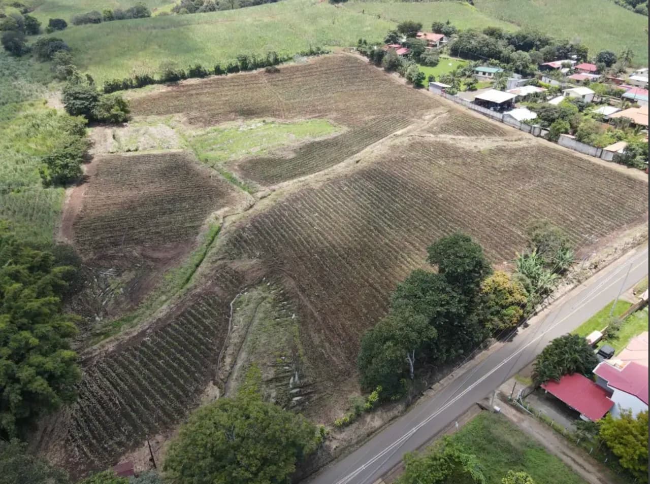 LAND FOR SALE, ALAJUELA, GRECIA - photo 3