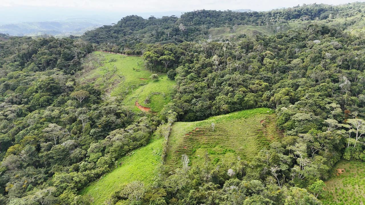 Mountain Agricultural Land For Sale in San Isidro del General - photo 5