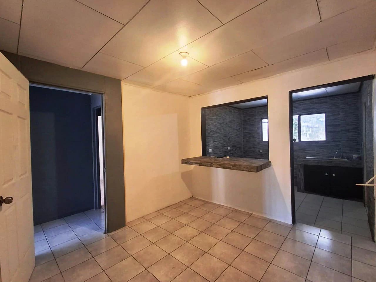 Commercial or Mixed Use?: Prime Central Grecia Commercial! - photo 7