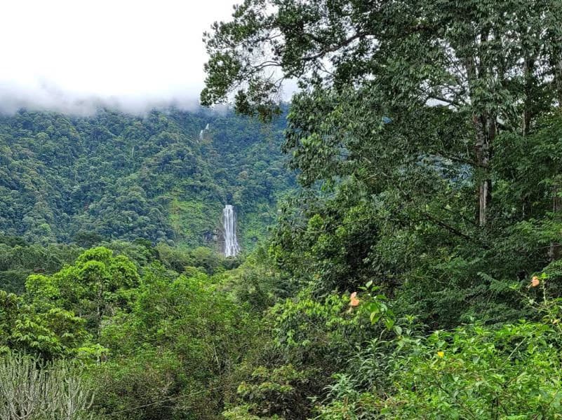 Private Estate with Breathtaking Diamante Waterfall