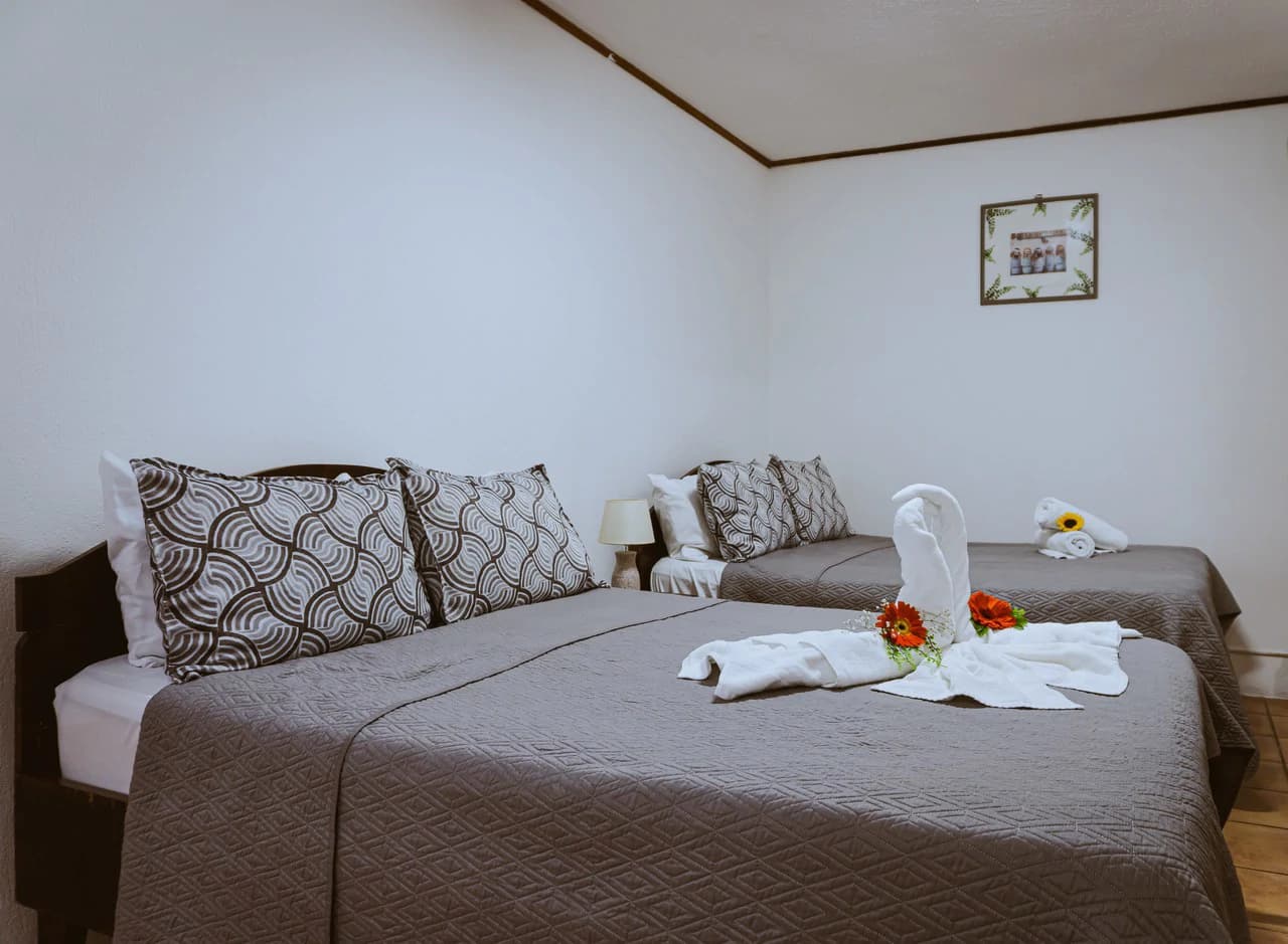 Monteverde Hotel & Attached 3-Bedroom House with Scenic Views CP0626: Boutique Hotel with Attached Private Residence in Monteverde – Turnkey Investment - photo 15