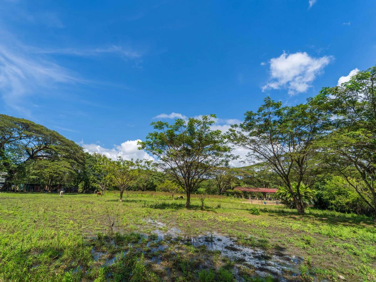 Campo del Sol Lot: 0.58 Acre Lot In Between 2 Beaches - photo 4