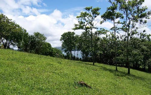La Foresta: Beautiful Building Lot of 3+ acres in 2 plots, private and quiet setting, lake view, large trees, SELLER will pay closing costs ! - photo 2
