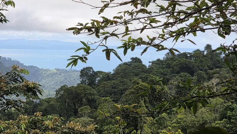 116-Hectare Finca for Sale Near Uvita with Whales Tail Views and 10 Waterfalls | La Faralla, Bahia Ballena, Uvita, Puntarenas, Costa Rica - photo 64