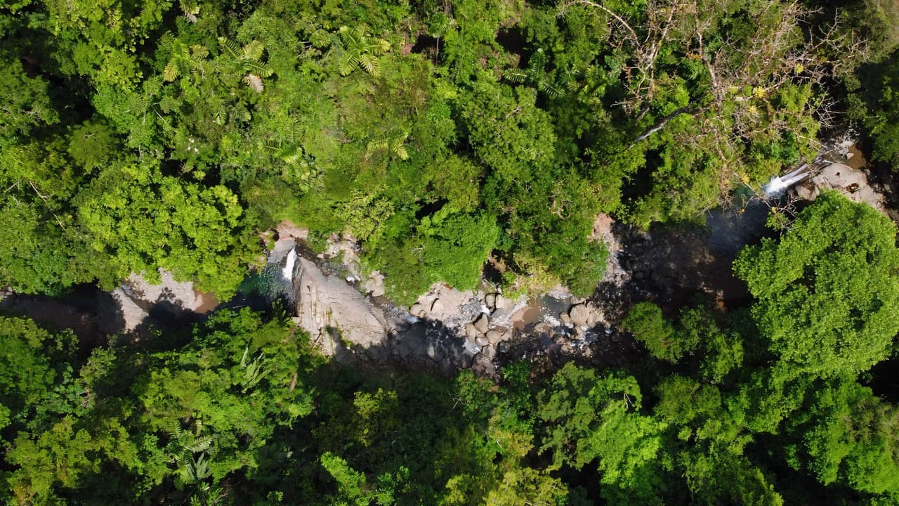 FINCA CERRO DEL TIGRE! OVER 20 ACRES OF PRIMARY FOREST AND WATERFALLS.: Mountain Agricultural Land For Sale in La Unión - photo 13