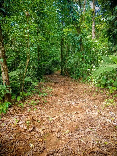 Ocean View & Primary forest 55-ha Rincon de Osa - photo 27